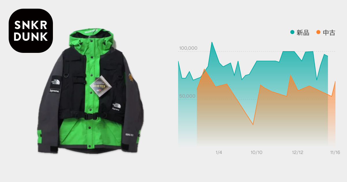Supreme x The North Face RTG Jacket + Vest 