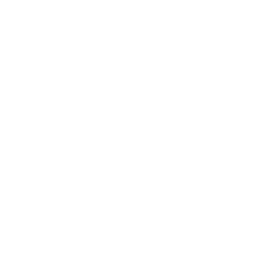 SNKRDUNK