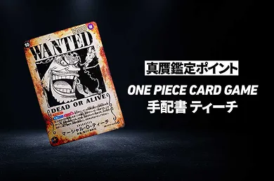 【ワンピースカード】「手配書 ティーチ」の真贋鑑定ポイントとは?