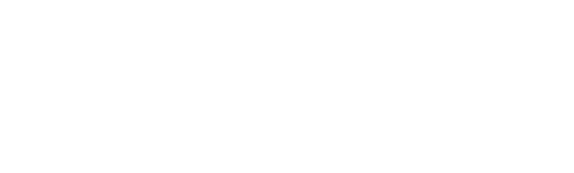 VCM Vintage Collection Mall × SNKRDUNK