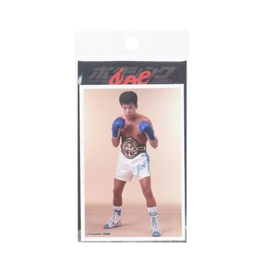 Joichiro Tatsuyoshi x Boxing Magazine Sticker#2 "MULTI"