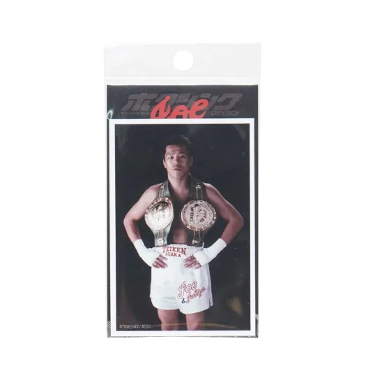 Joichiro Tatsuyoshi x Boxing Magazine Sticker#3 "MULTI"