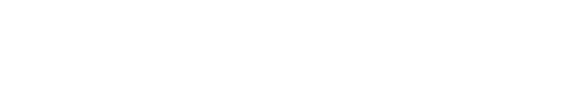 PSE オーバーフレーム